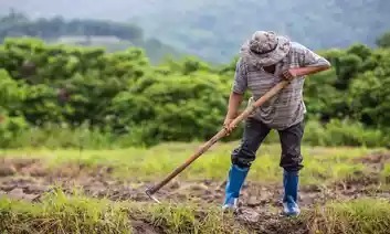 Agronegócio impulsiona PIB brasileiro e dá lições para reindustrialização